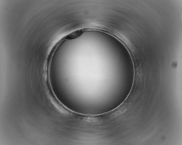 X0000090501128200707201541