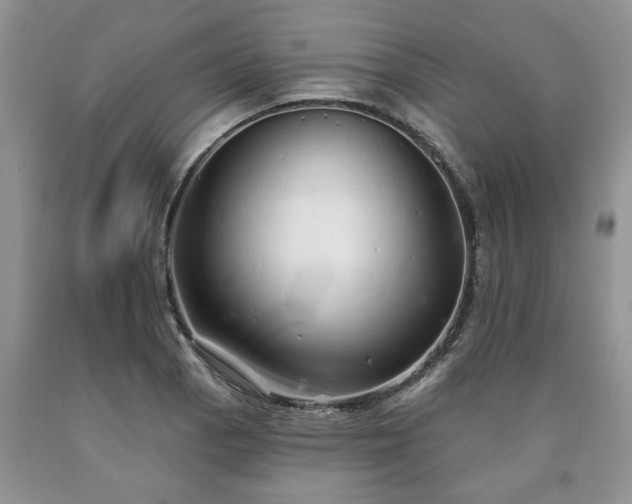 X0000090501129200707201541
