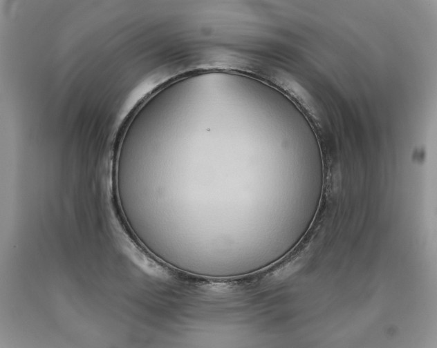 X0000090501130200707201541