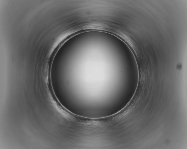 X0000090501131200707201541
