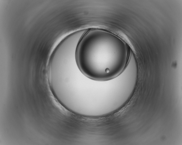 X0000090501132200707201541