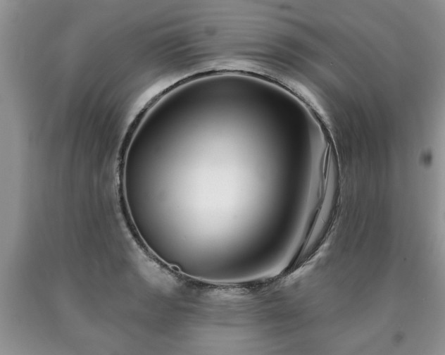 X0000090501133200707201541