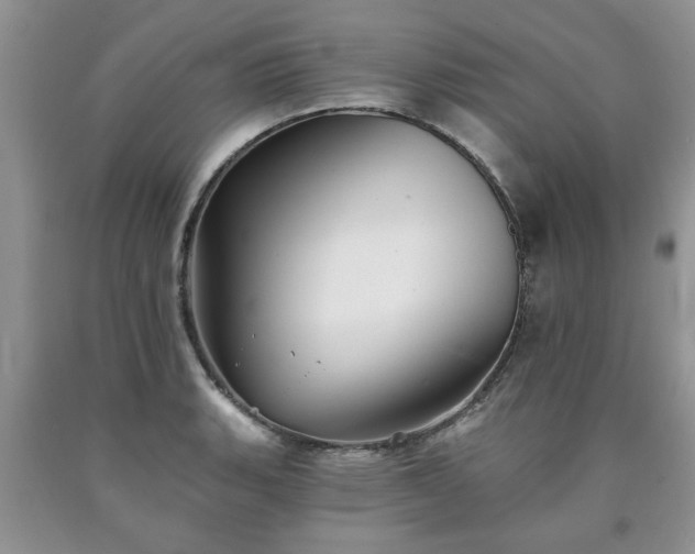X0000090501135200707201541