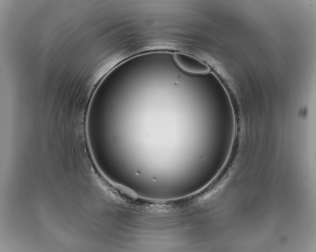 X0000090501137200707201541
