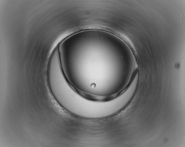 X0000090501138200707201541