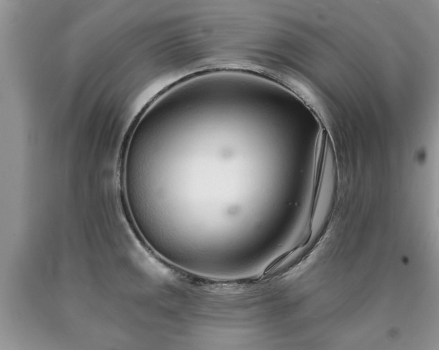 X0000090501141200707201541