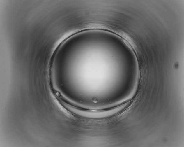 X0000090501142200707201541