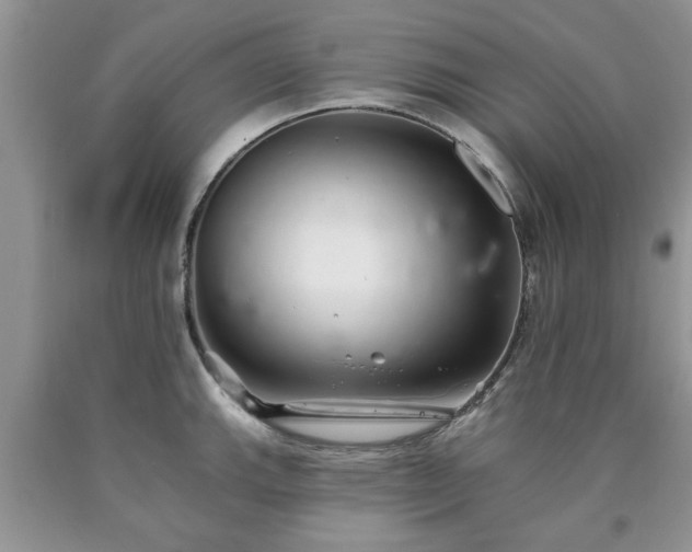 X0000090501143200707201541