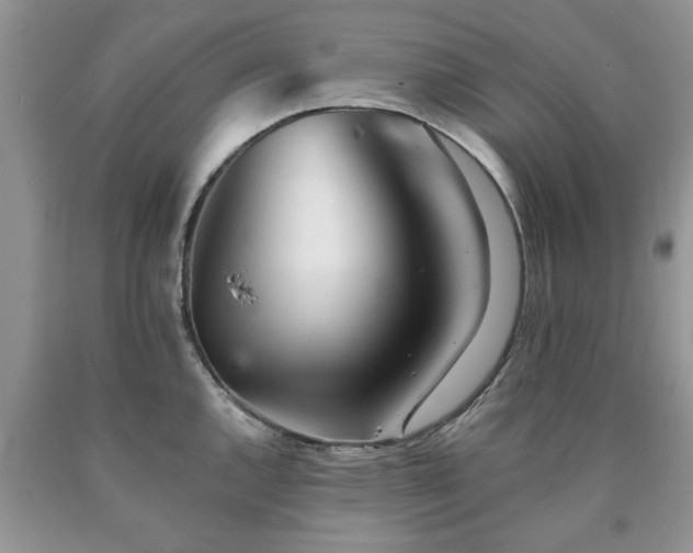 X0000090501144200707201541