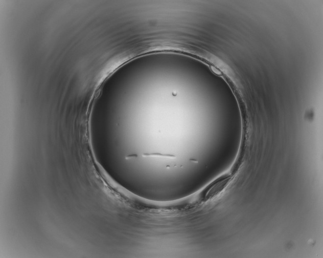 X0000090501145200707201541