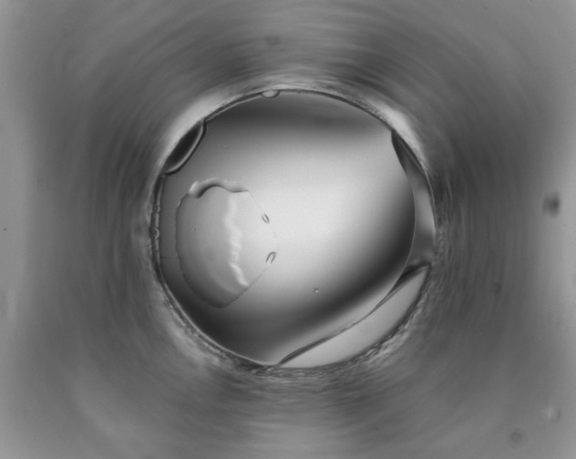 X0000090501146200707201541