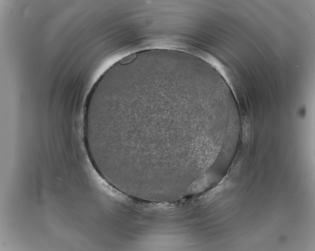 X0000090501147200707201541