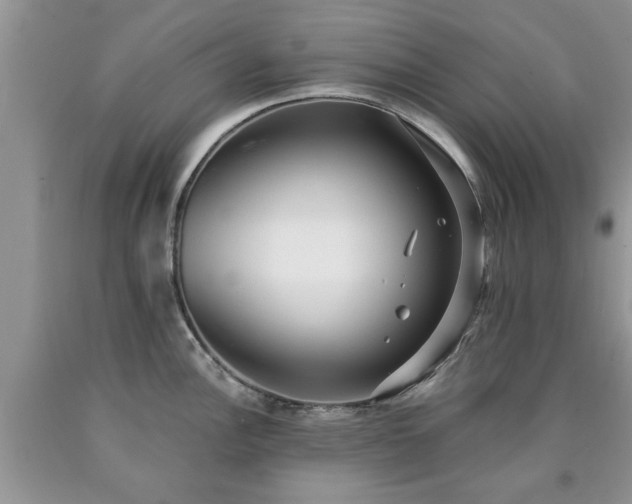 X0000090501148200707201541