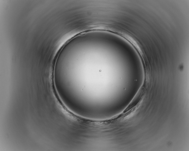 X0000090501149200707201541