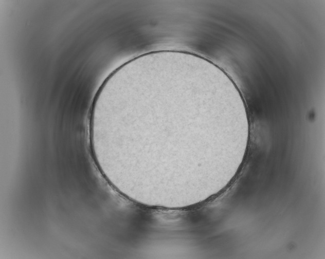 X0000090501150200707201541