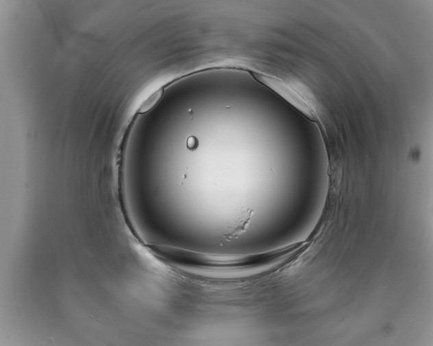 X0000090501151200707201541