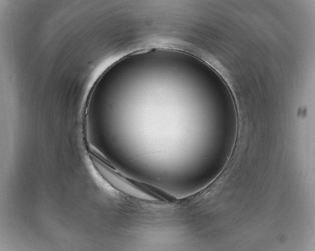 X0000090501152200707201541