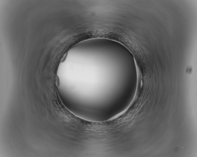 X0000090501153200707201540