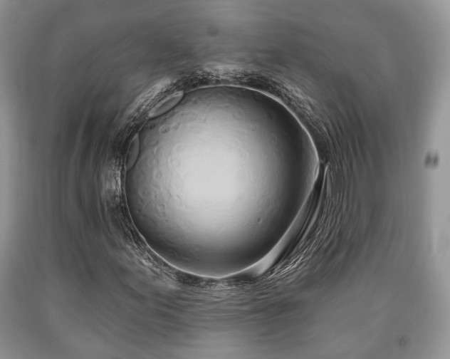 X0000090501155200707201540