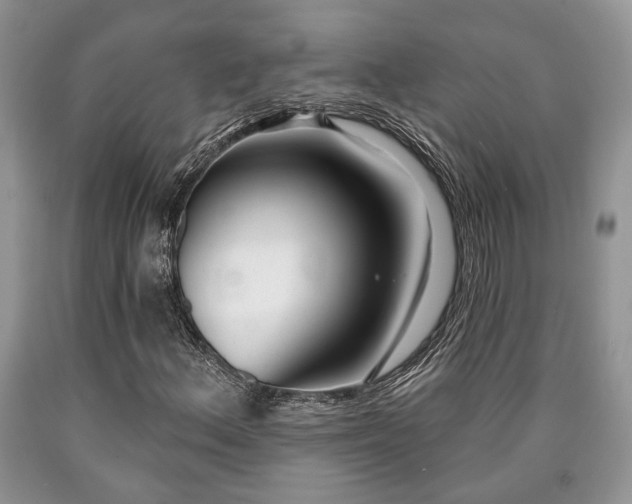 X0000090501156200707201540