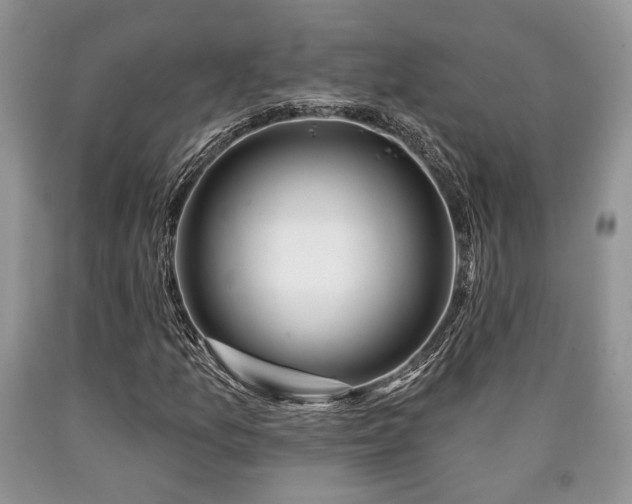 X0000090501157200707201540