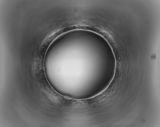 X0000090501159200707201540