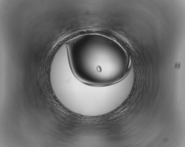 X0000090501160200707201540