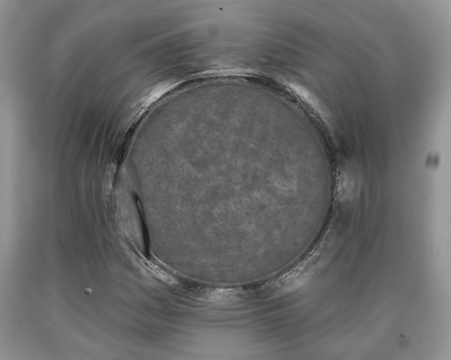 X0000090501161200707201540