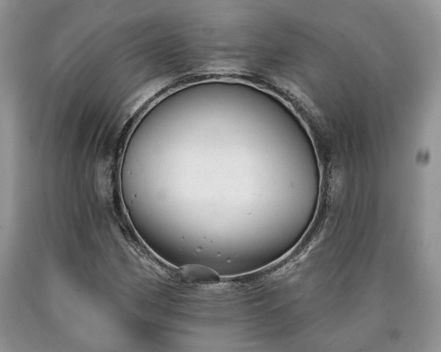 X0000090501162200707201540
