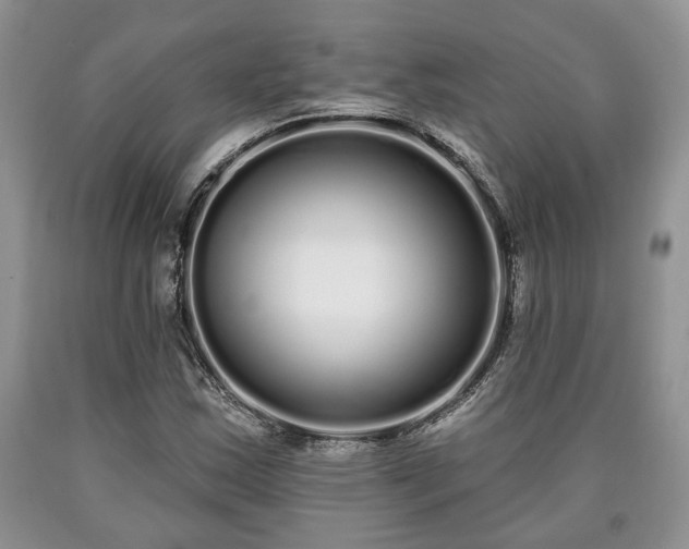 X0000090501163200707201540