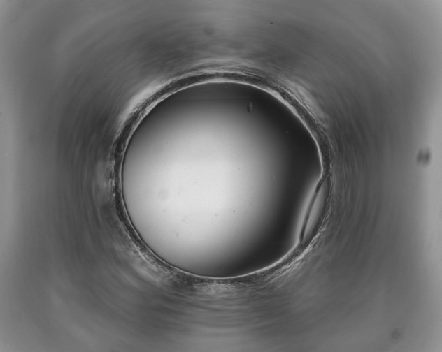 X0000090501164200707201540