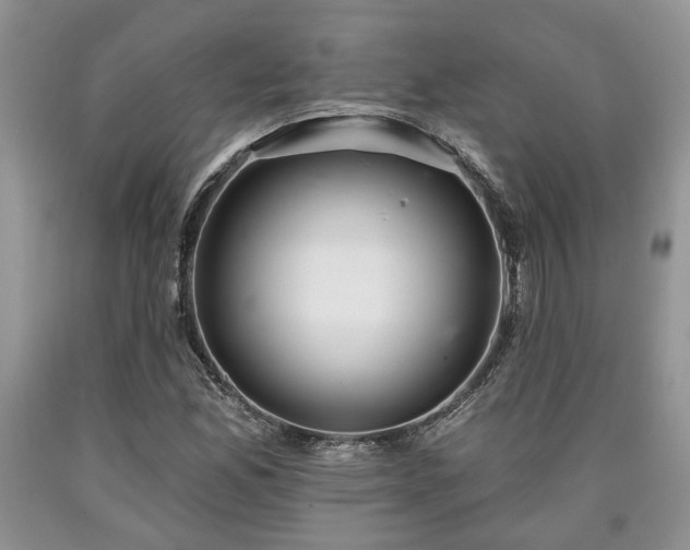 X0000090501165200707201540