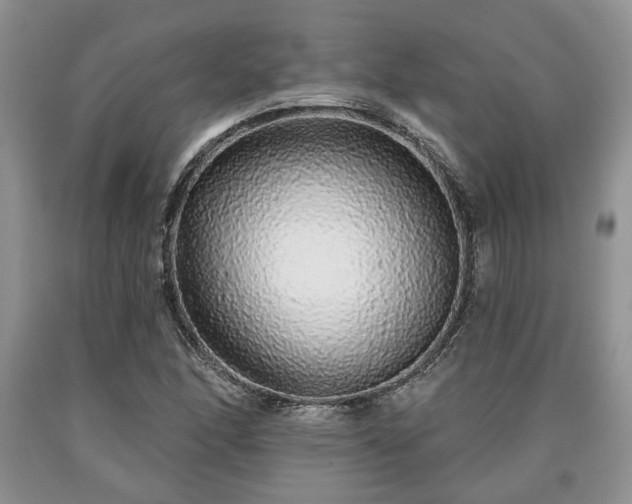 X0000090501166200707201540
