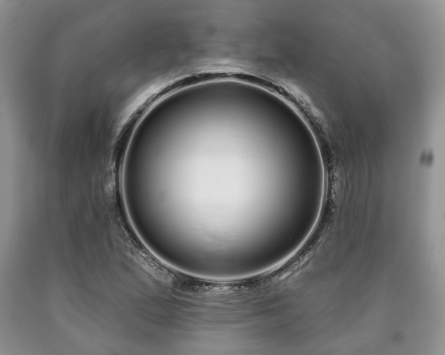 X0000090501167200707201540