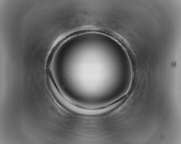 X0000090501168200707201540