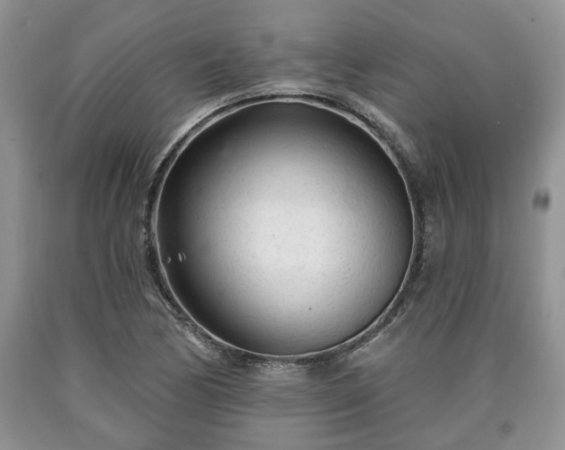 X0000090501170200707201540