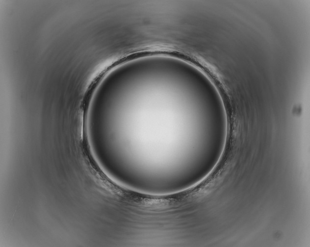 X0000090501171200707201540