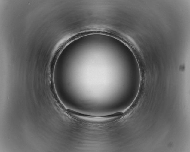 X0000090501172200707201540