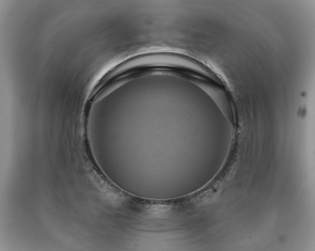 X0000090501173200707201540