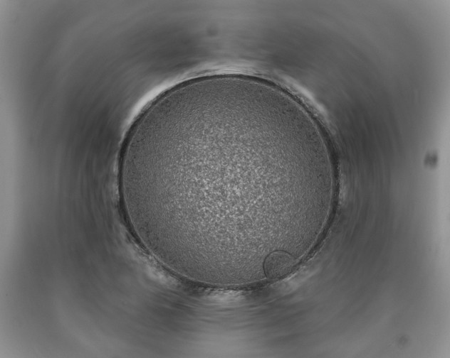X0000090501174200707201540