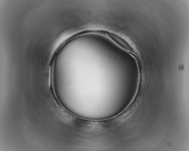 X0000090501175200707201540