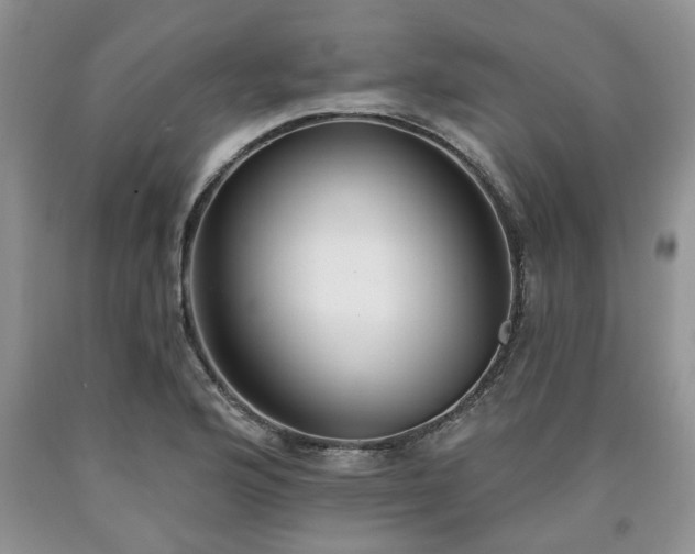 X0000090501176200707201540
