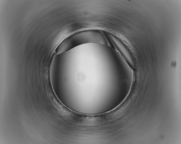X0000090501177200707201540