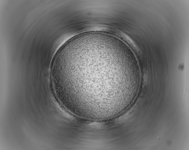 X0000090501178200707201540