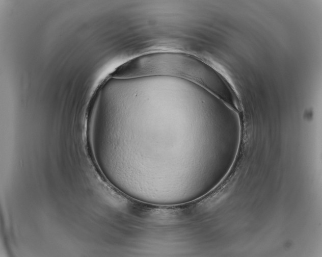 X0000090501179200707201540