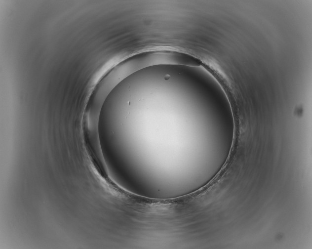 X0000090501181200707201540