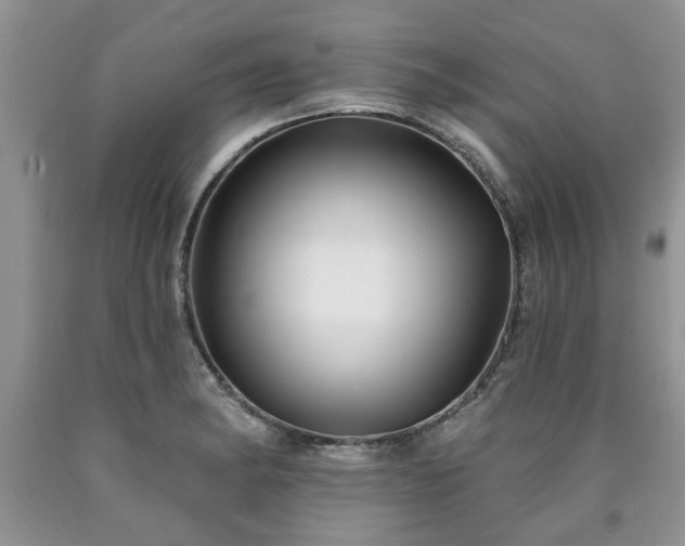 X0000090501182200707201540
