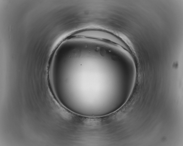 X0000090501183200707201540