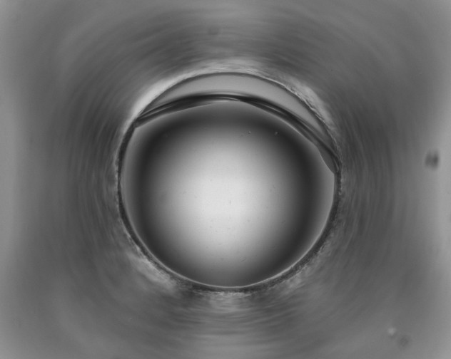 X0000090501184200707201540