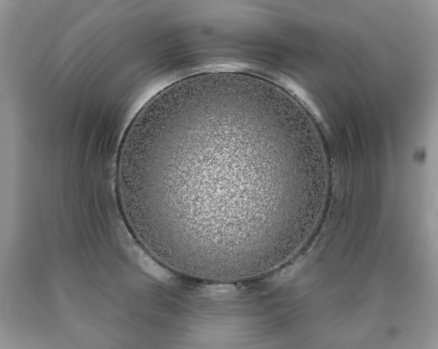 X0000090501186200707201540